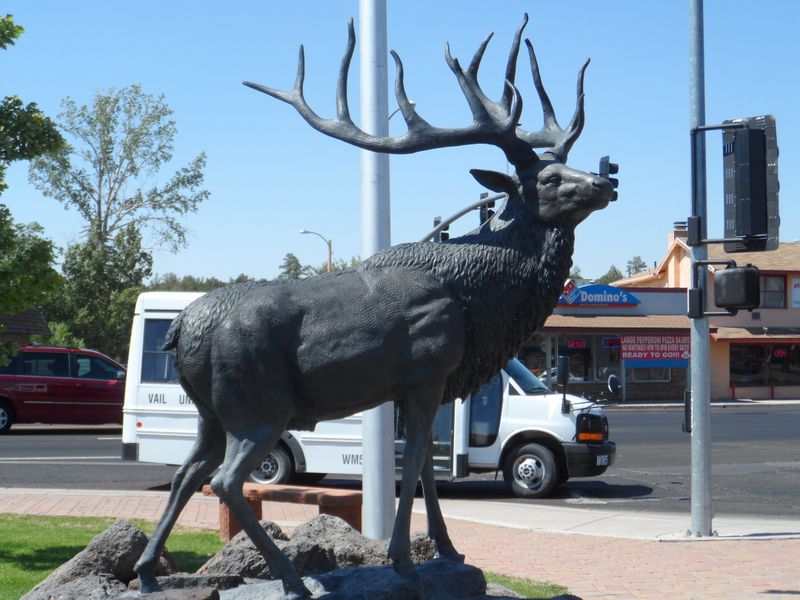 The Arizona Mountain Town So Affordable Retirees Are Quietly Flocking There - Decor Hint Show Low Days Annual Celebration