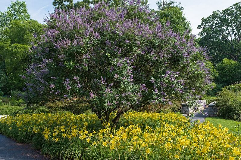 Six Connected Linear Parks Form A Green Corridor