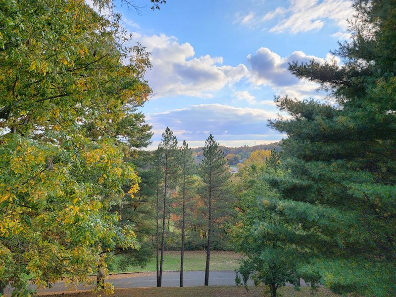 The Indiana Small-Town Diner Serving Fried Fish So Good Locals Call It The State's Best-Kept Secret - Decor Hint Perched On A Hill With Scenic Views