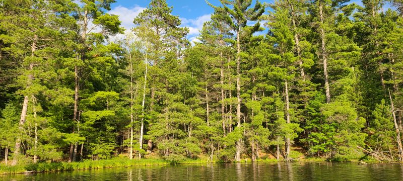 The Best Wisconsin Weekend Getaways Locals Can't Stop Recommending - Decor Hint Minocqua And The Northwoods