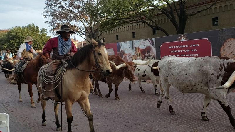 22 Overhyped Texas Attractions That Real Texans Skip Every Time - Decor Hint Stockyards In Fort Worth