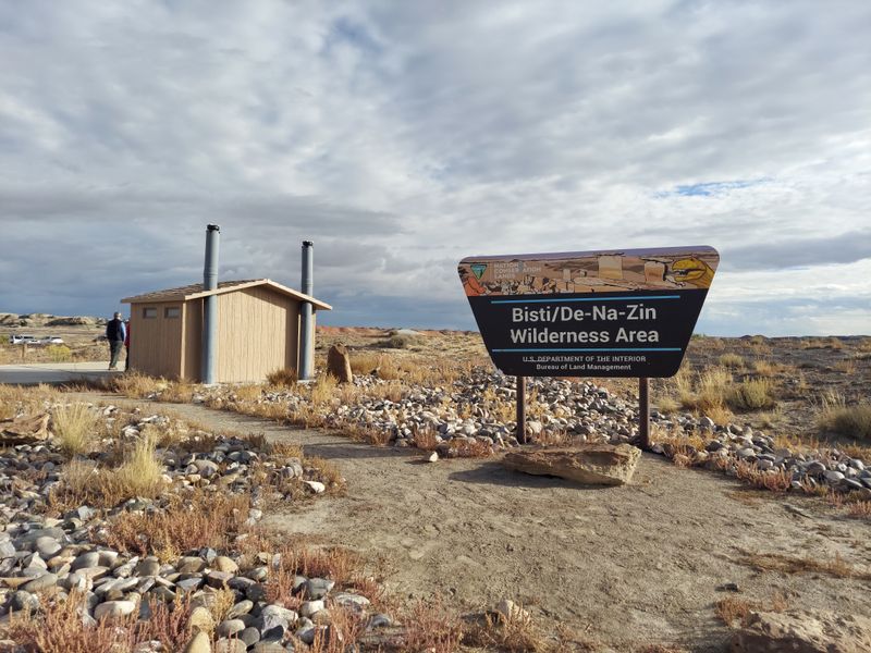 14 Roadside Wonders In New Mexico's Desert That Locals Swear Are The Weirdest In The US - Decor Hint Bisti Badlands