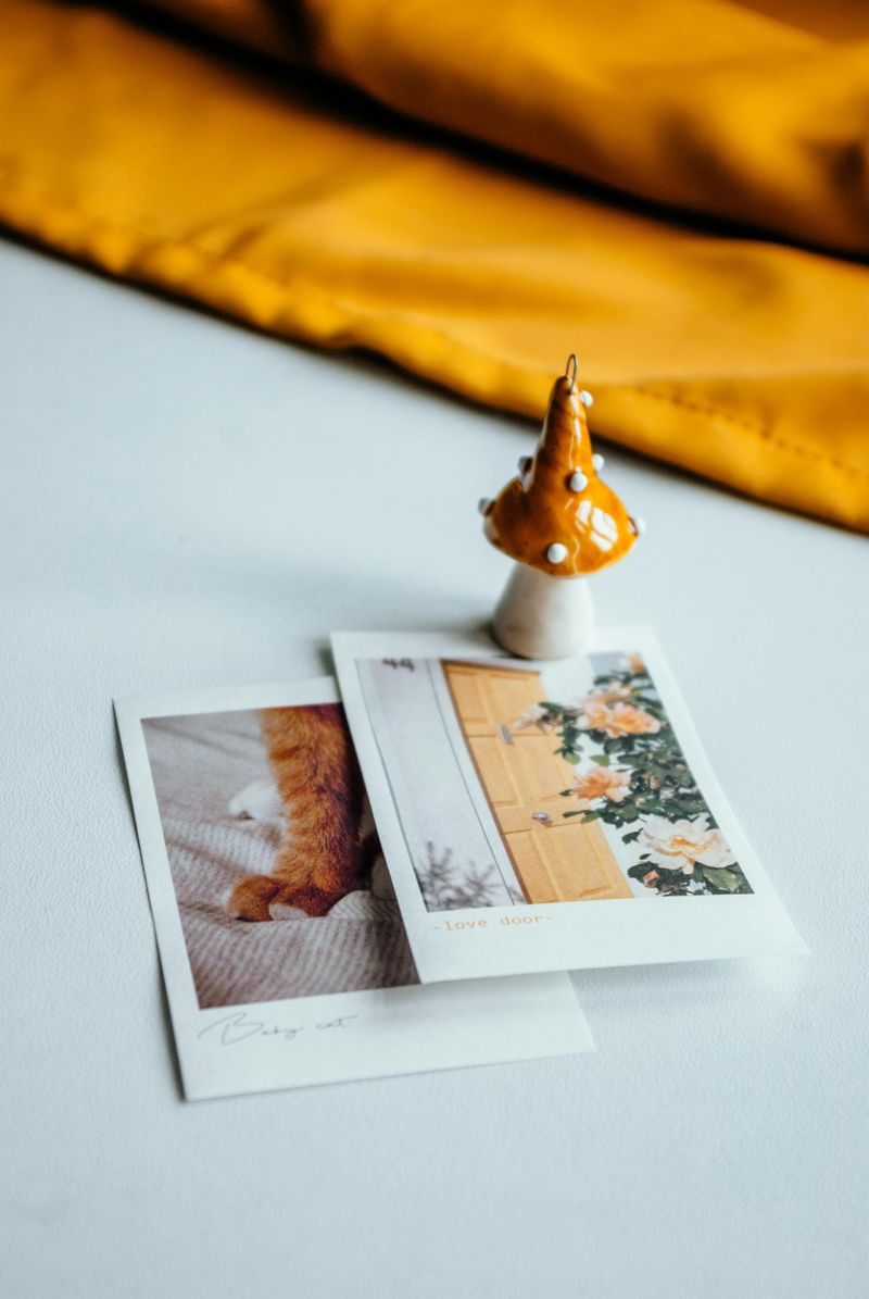 Mushroom Decor Magic