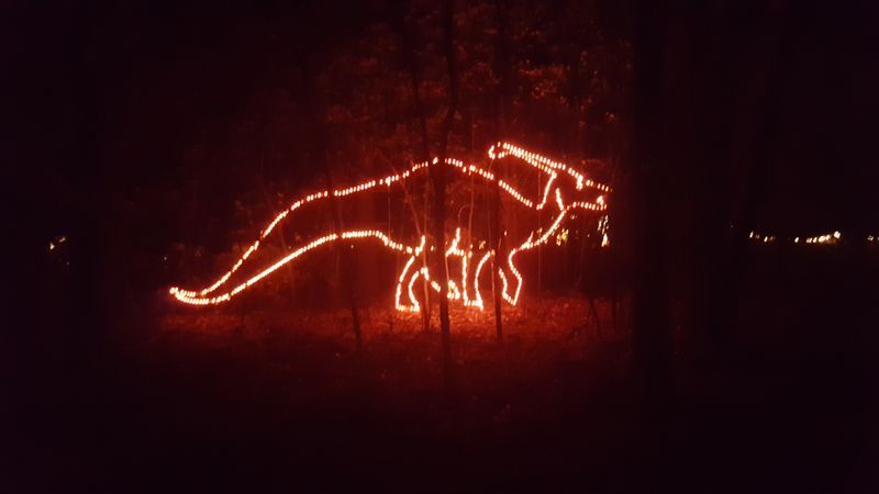 Tyler Christmas Market