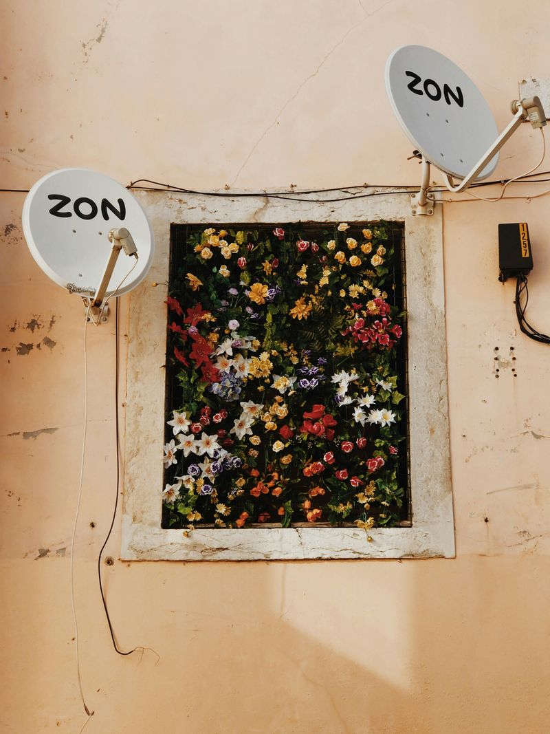 Visible Satellite Dishes