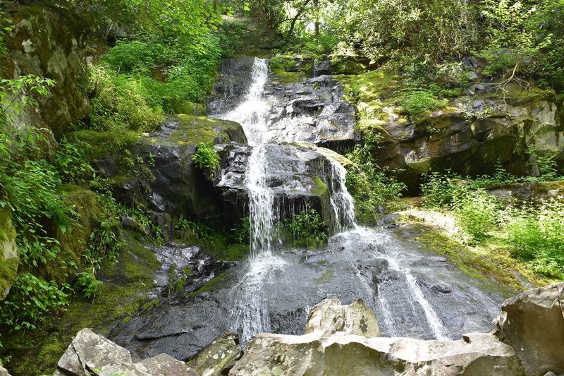 Hen Wallow Falls Trail