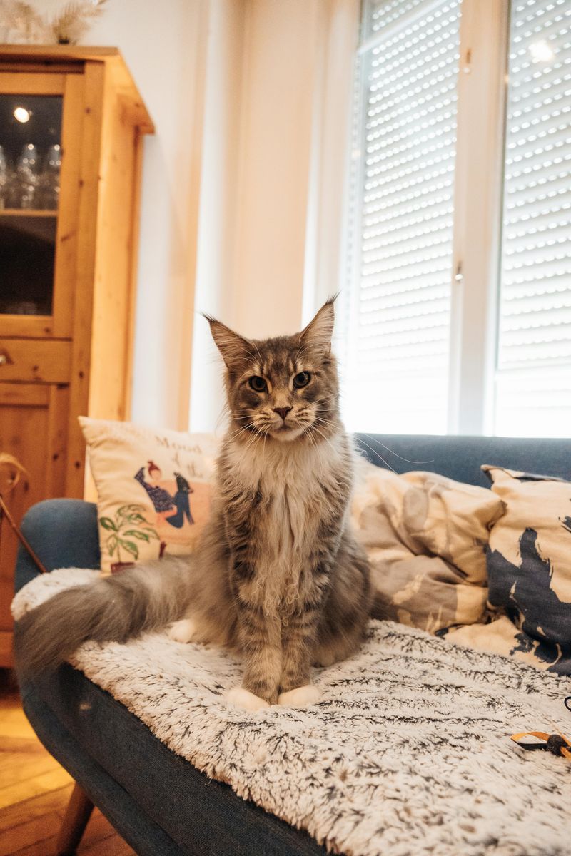 Accessorize with Fluffy Throws