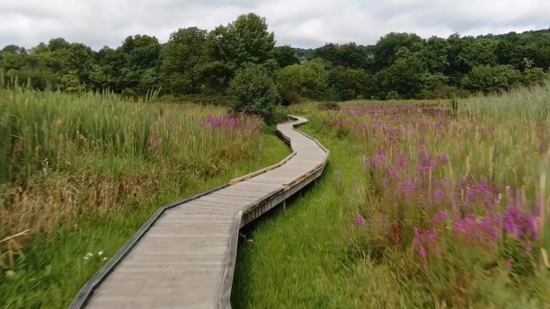 Appalachian Trail Boardwalk