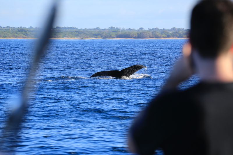 20 Hawaiian Beach Towns To Visit This Winter For Ideal Weather And Scenic Views - Decor Hint Kīhei, Maui