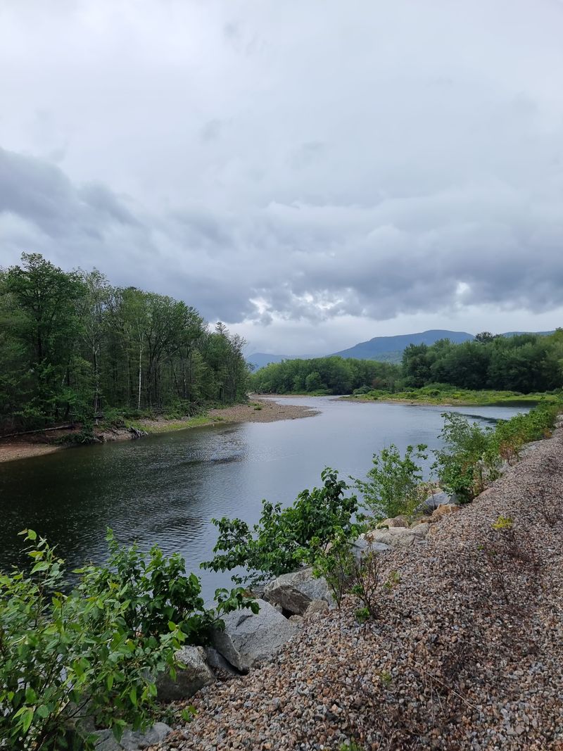All Aboard For Snowy Wonders On New Hampshire's Conway Scenic Winter Excursion - Decor Hint Wildlife Spotting Opportunities Abound Throughout Journey