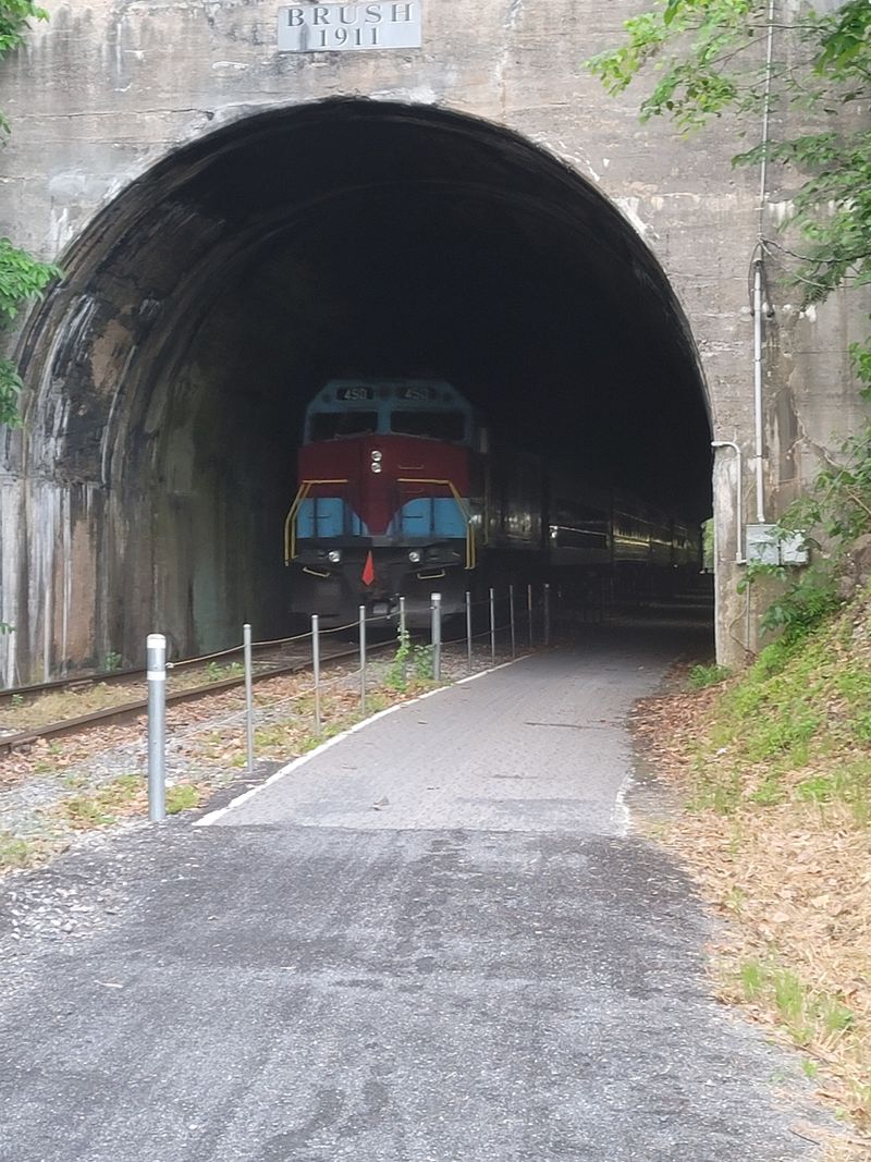 Stunning Winter Scenes You'll Catch Aboard The Western Maryland Scenic Railroad - Decor Hint Brush Tunnel