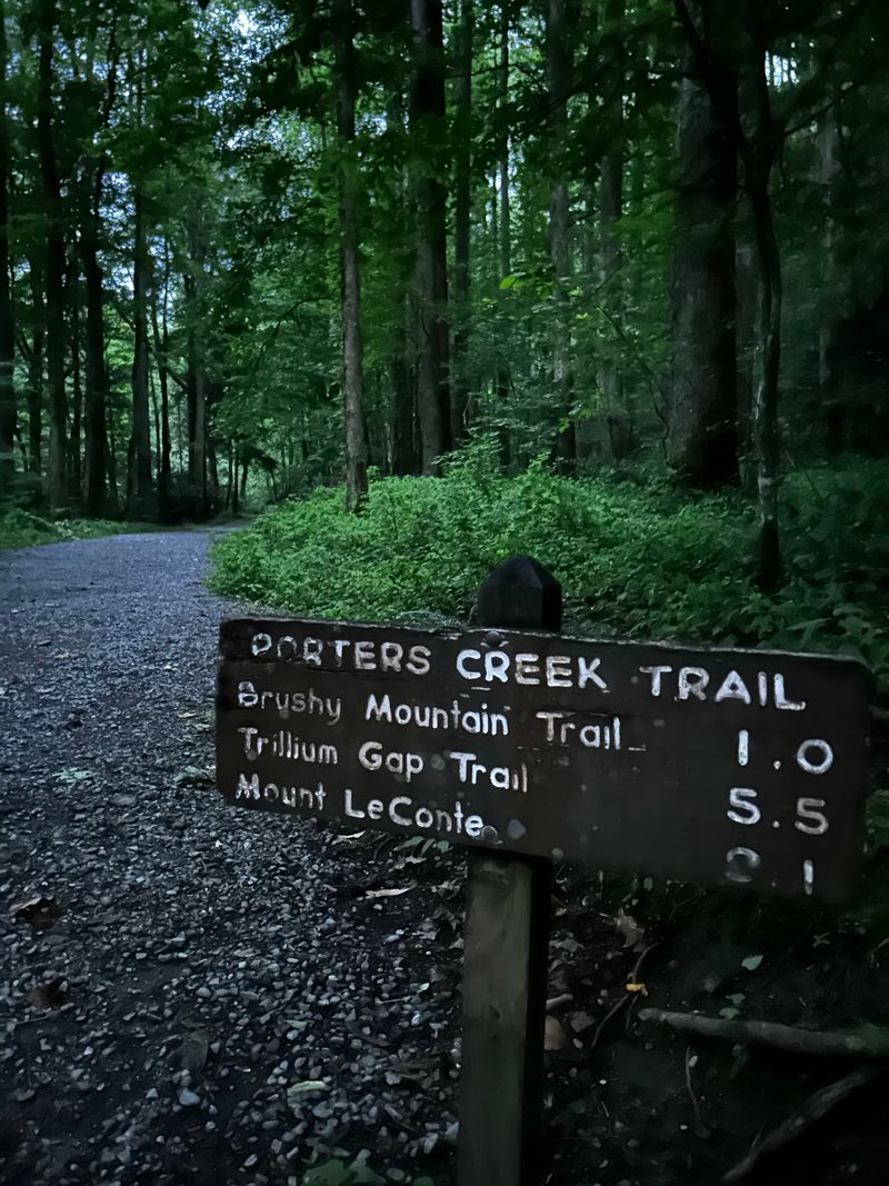 Porters Creek Trail