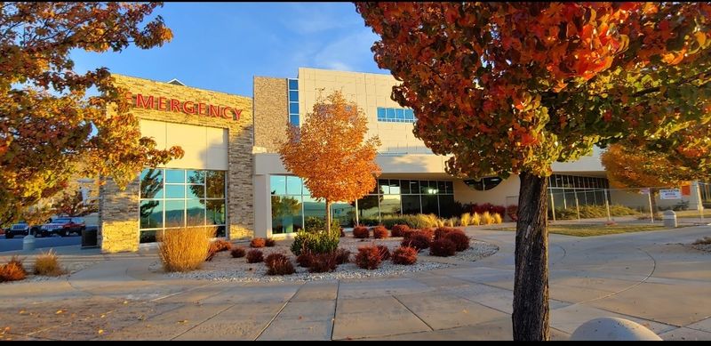 Carson City Winter Art Mart