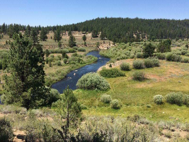 Part of Little Truckee River Watershed