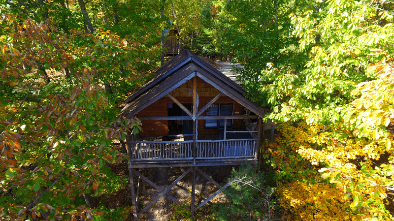 Hot Springs Treehouse Cabins