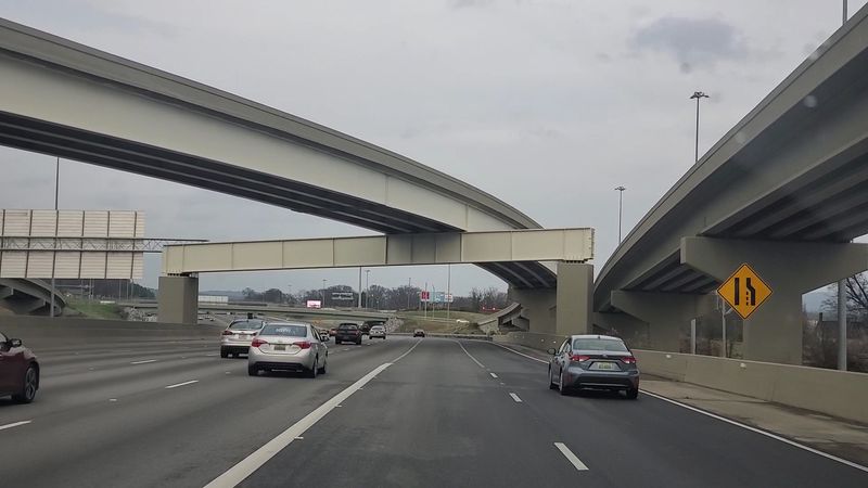 The Mysterious Louisiana Swamp Road Locals Say You Should Avoid After Dark - Decor Hint Highway 31's Nocturnal Visitor