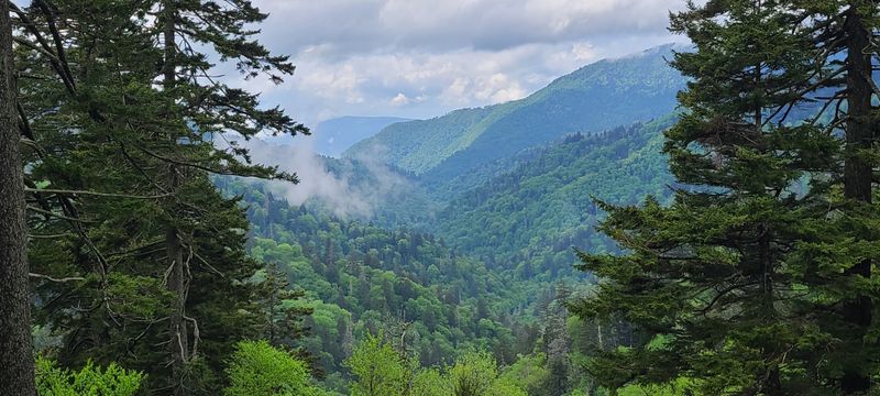 Highway 441 (Newfound Gap Road)