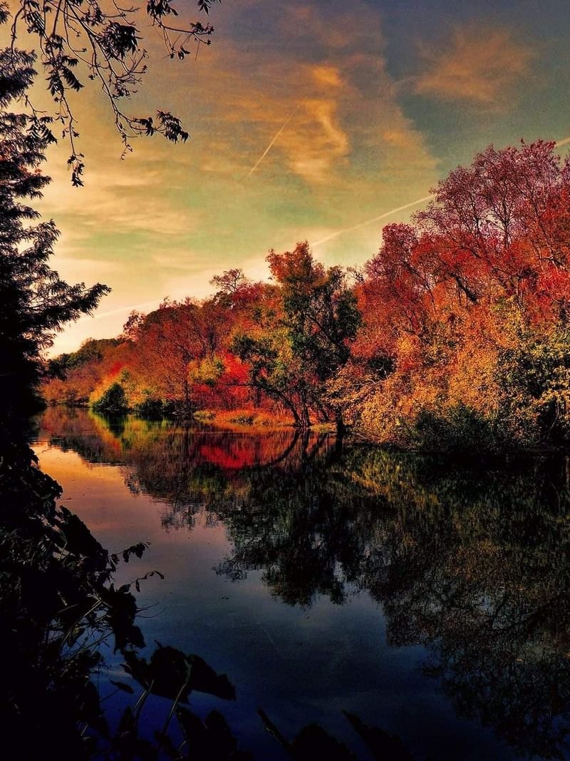 The Mysterious Louisiana Swamp Road Locals Say You Should Avoid After Dark - Decor Hint The Ancient Serpent Legend Of The Chitimacha Tribe