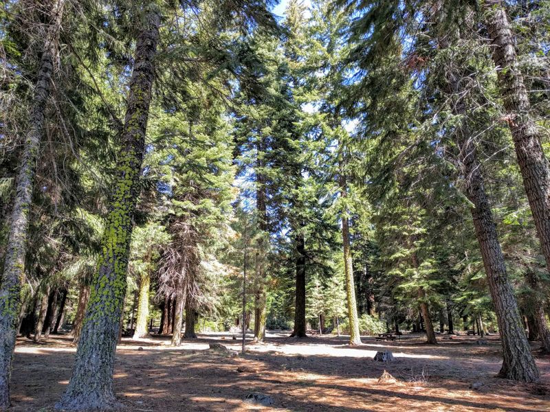 Oregon's Secret Lakeside Retreat That Feels A World Away - Decor Hint Wildlife Watching For Nature Enthusiasts