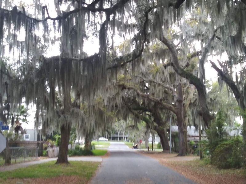 Butler Island Plantation