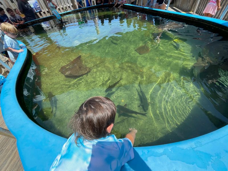 Alabama Aquarium at Dauphin Island Sea Lab