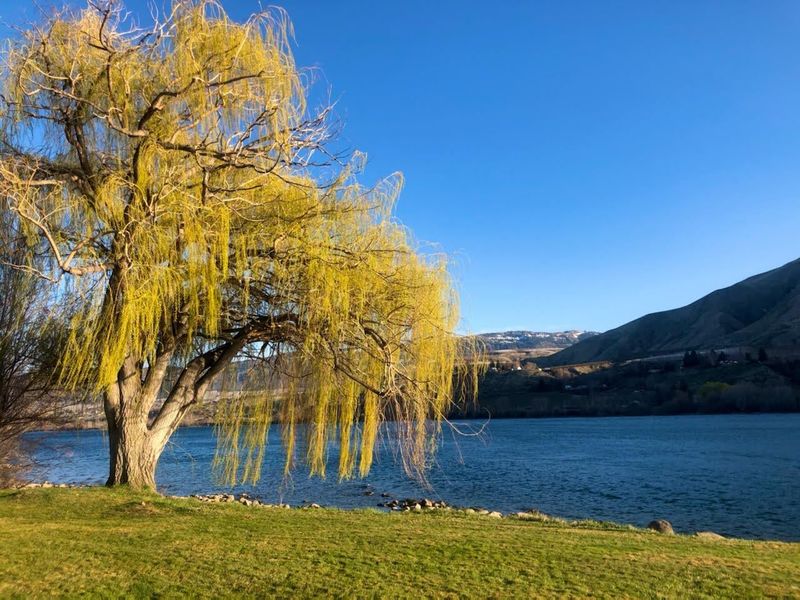15 Unexpected Reasons Wenatchee Is The Affordable Washington Mountain Town Everyone Should See - Decor Hint Over 300 Days of Sunshine Annually