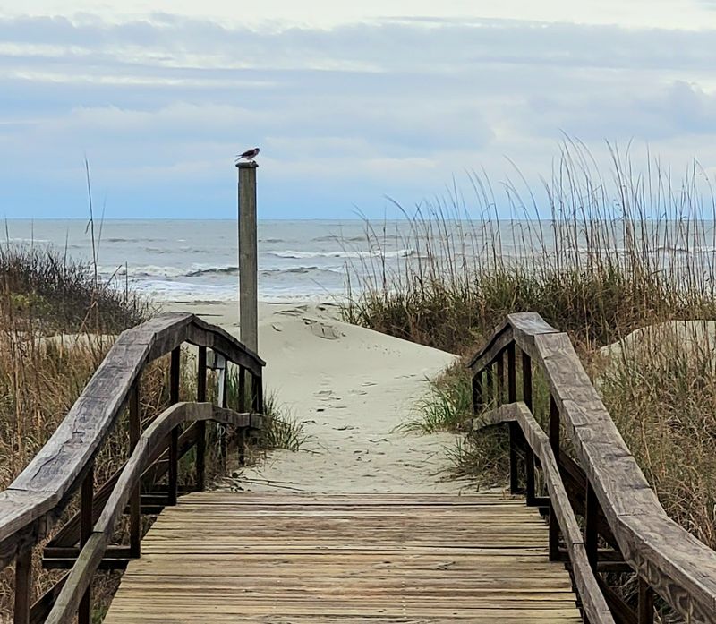 14 South Carolina Collectibles Taking Off Faster Than Expected - Decor Hint Sea Islands Sweet Potatoes Advertising Crates And Labels