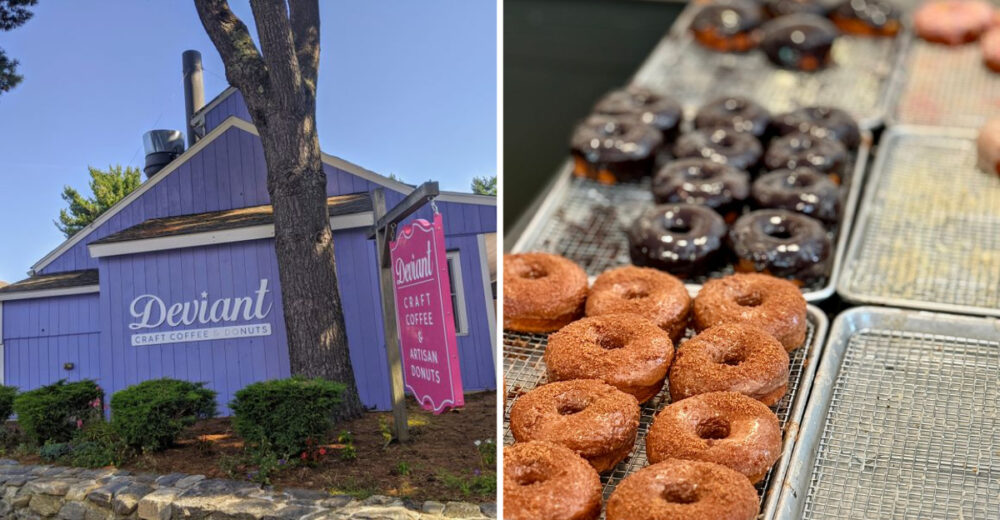 I Road Tripped Through Small Town Connecticut To Try 10 Donut Shops And 2 Completely Blew Me Away - Decor Hint