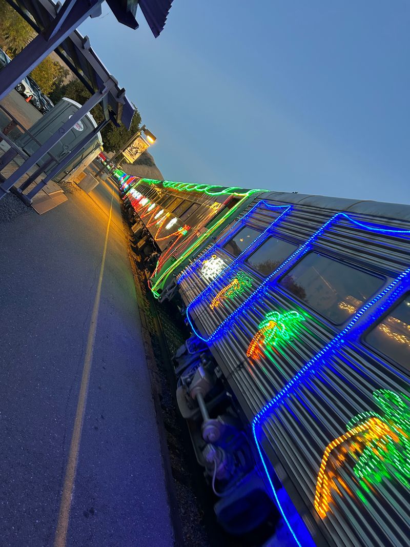 Fremont-Newark-Union City: Top Holiday Activities For Families 2025 - Decor Hint Niles Festival of Lights