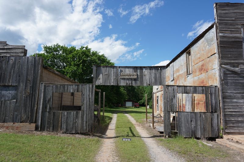 The Doolin-Dalton Gang Robbed Trains And Banks