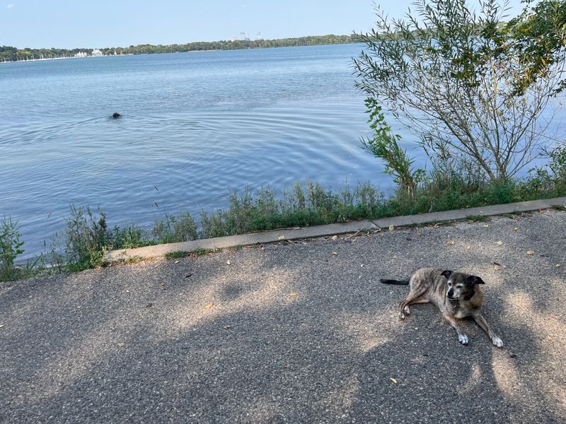 Minnesota's Hidden Escape You'll Wish You Knew Sooner - Decor Hint Right Next To Dog Beach Bonus