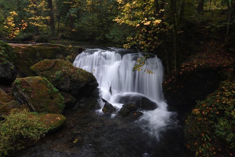 Bellingham, Washington: The Hidden Gem For Active Getaways Near Tri-Cities - Decor Hint Whatcom Falls Park Features Stunning Waterfalls And Trails
