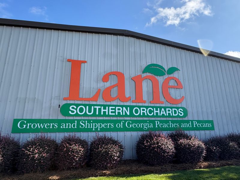 Lane Southern Orchards