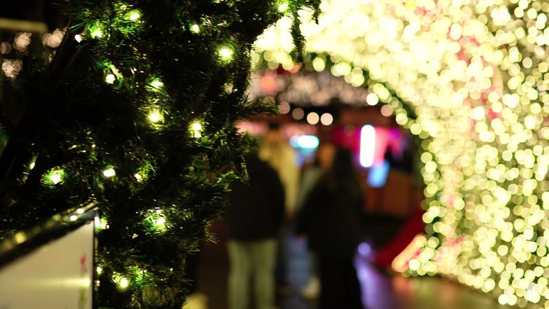 A Guide To The Seattle Christmas Market In Seattle, Washington - Decor Hint Christmas Market Express Monorail Experience