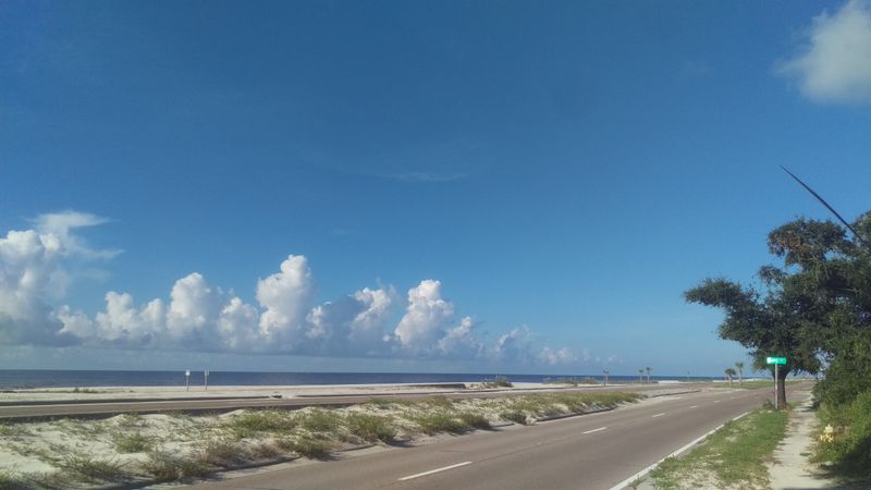 The Mysterious Louisiana Swamp Road Locals Say You Should Avoid After Dark - Decor Hint Highway 90's Roadside Phantom