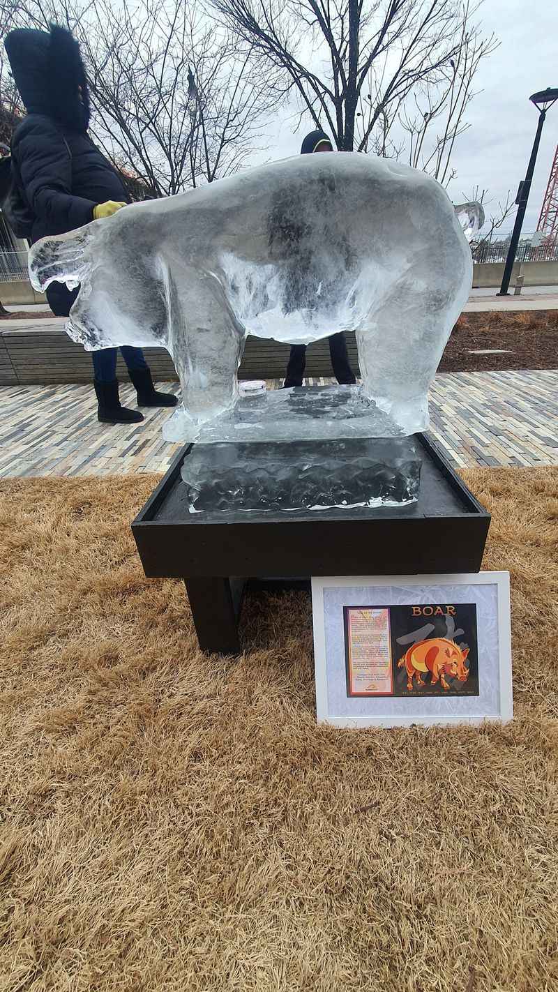 Harbor Point Ice Festival In Baltimore