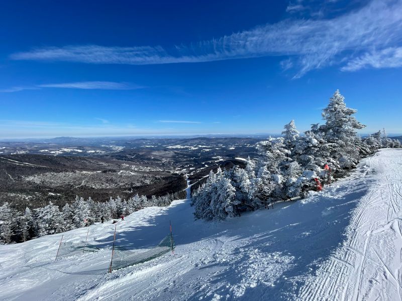 Sugarbush