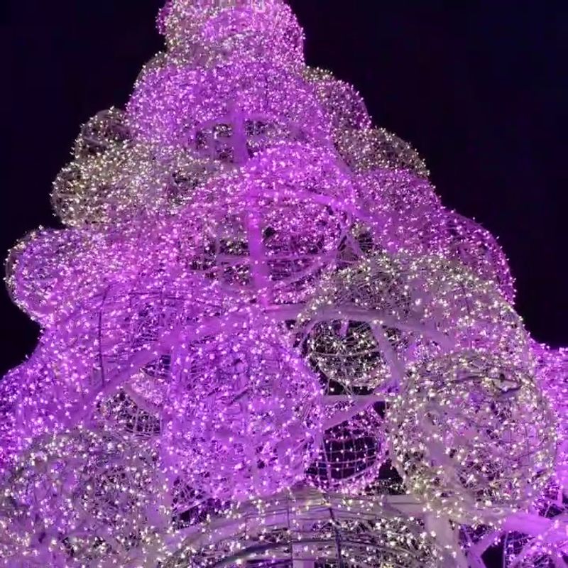 Los Angeles Grand Park Countdown