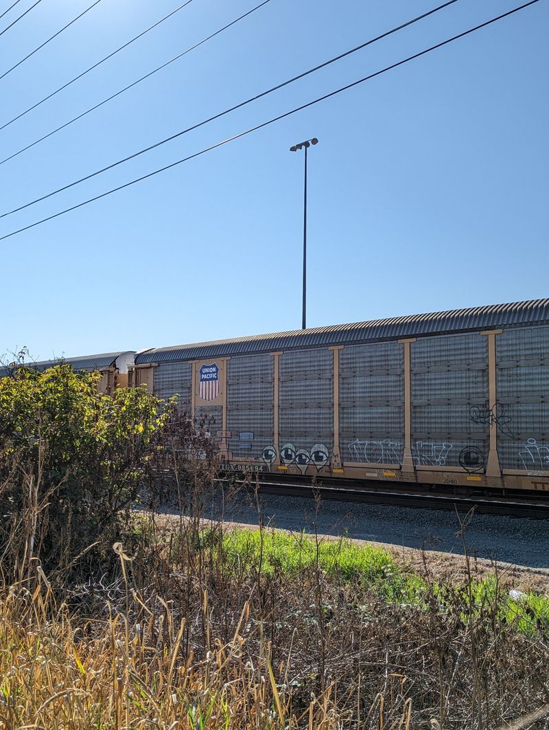Bellingham, Washington: The Hidden Gem For Active Getaways Near Tri-Cities - Decor Hint Interurban Trail Connects Fairhaven To Larrabee State Park