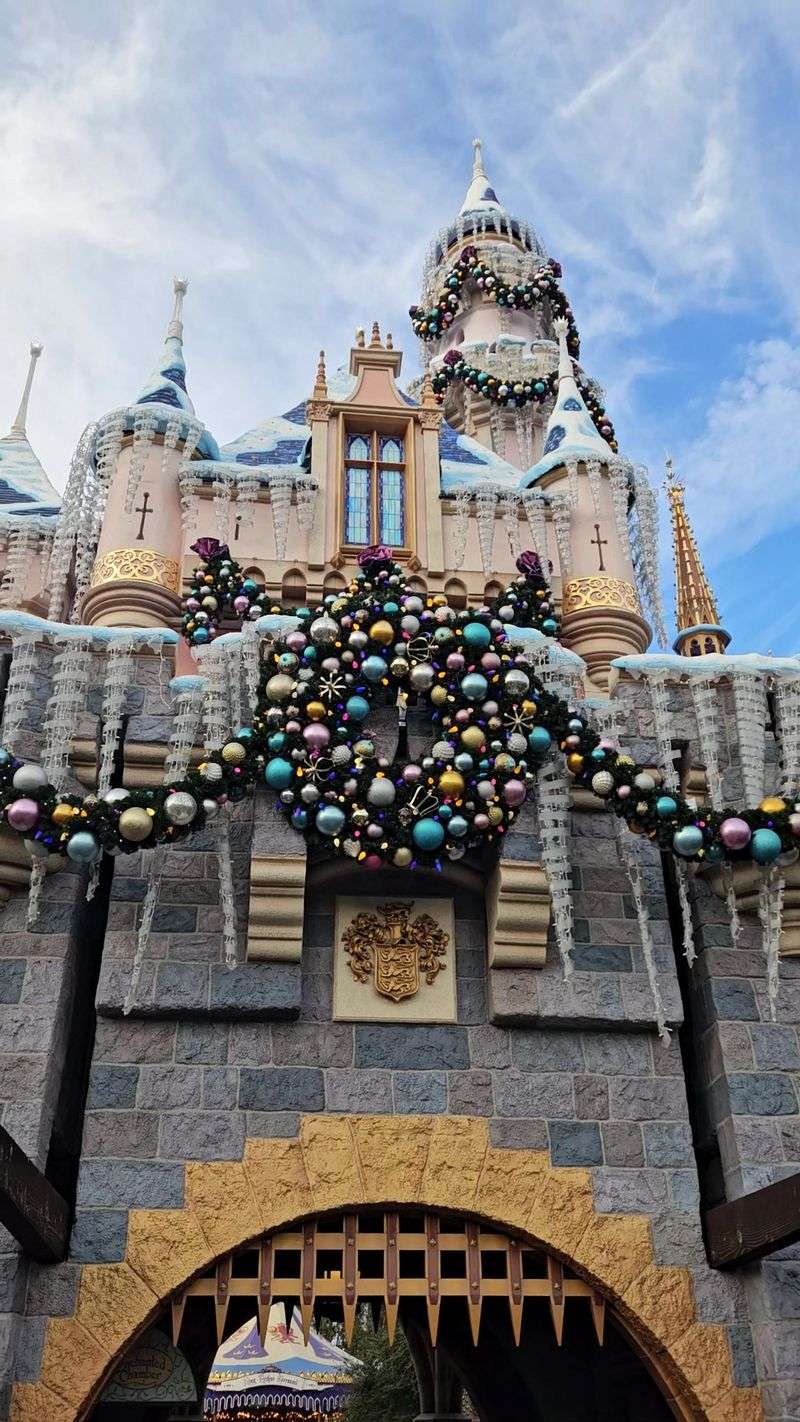 Disneyland Resort Fantasy New Year