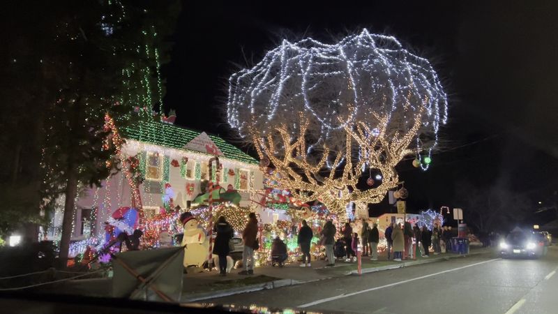 Washington's Most Jaw-Dropping Christmas Yard Displays - Decor Hint Menashe Family Christmas Display (West Seattle)
