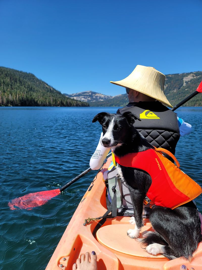 Free Kayaks and Boats Available On-Site