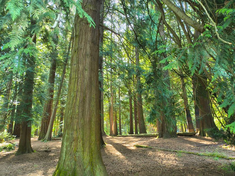 Exploring Bellingham: Where Pacific Northwest Life Comes Together - Decor Hint Cornwall Memorial Park