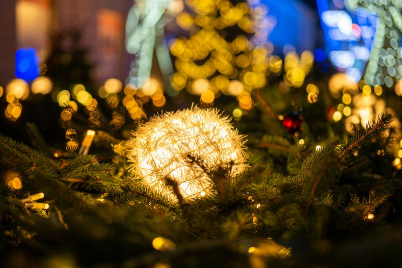 Festival Of Trees Stroll