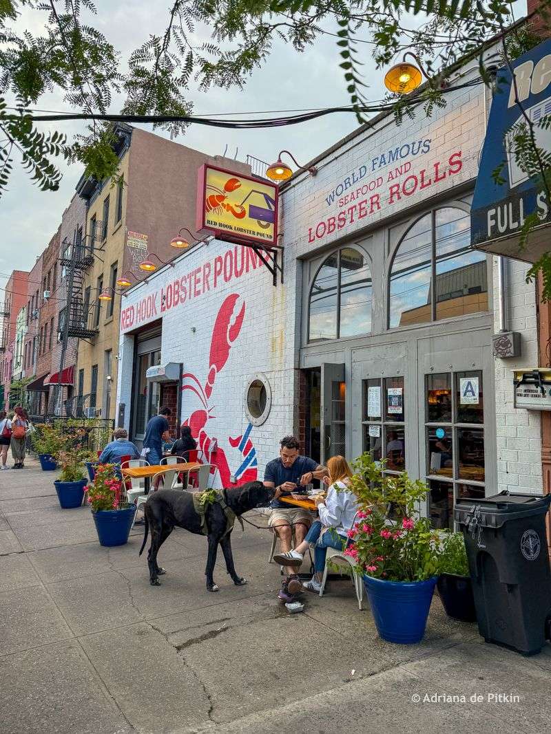 15 New York Delis You Can't Miss For The Best Fried Fish Sandwiches In Town - Decor Hint Red Hook Lobster Pound