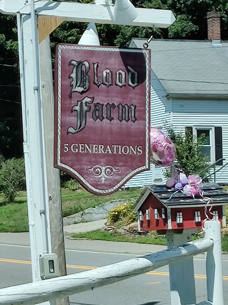 Massachusetts Meat Markets Where Quality Comes First Every Time - Decor Hint Blood Farm