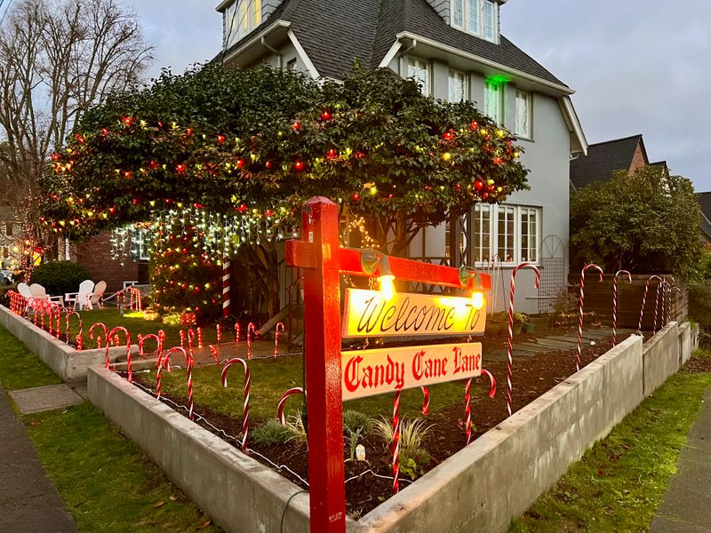 Washington's Most Jaw-Dropping Christmas Yard Displays - Decor Hint Candy Cane Lane In Seattle's Ravenna Neighborhood