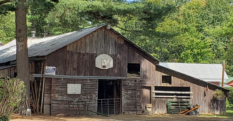 13 Maine Markets Delivering The Freshest Cuts Straight From Local Farms - Decor Hint North Star Sheep Farm