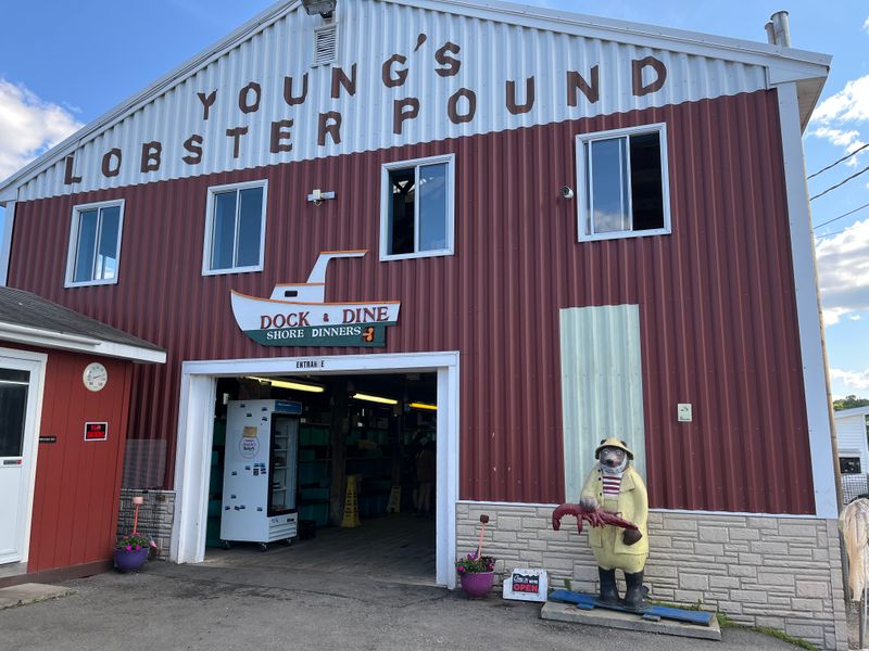 Young's Lobster Pound