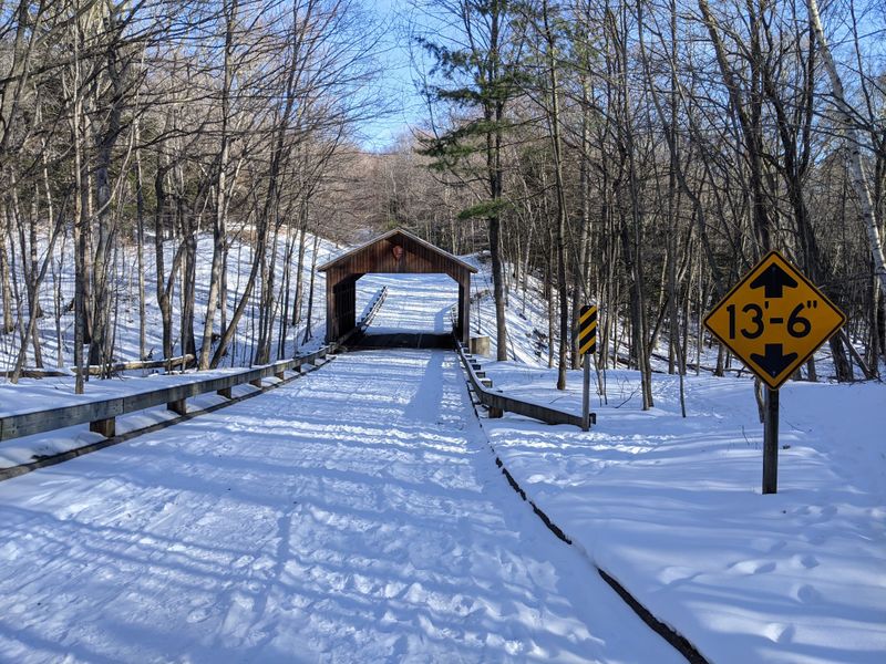 These Michigan Roads Are Creepy Year-Round But In Winter They're Something Else - Decor Hint Glen Arbor's Pierce Stocking Drive